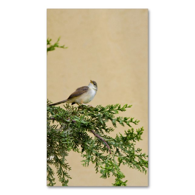 Sparrow Magnetische Visitenkarte (Vorderseite Vertikal)