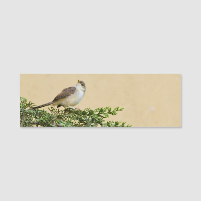 Sparrow Namensschild (Vorderseite)