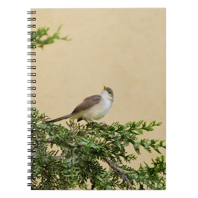 Sparrow Notizblock (Vorderseite)