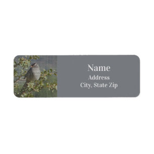 Sparrow on Branch Photo Mosaic Pattern Nature