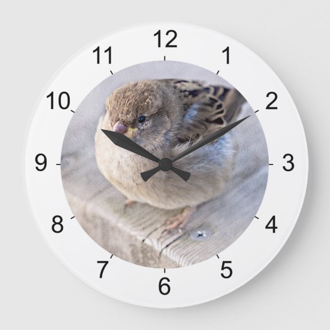 Sparrow - Overweight Große Wanduhr (Vorderseite)