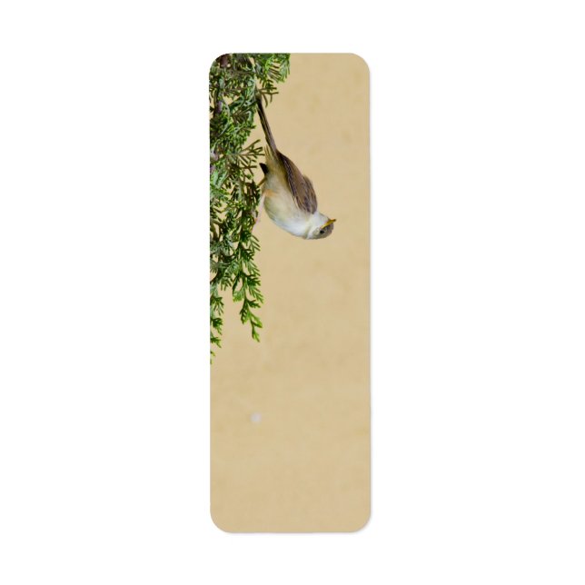 Sparrow-Postkarte (Vorne)