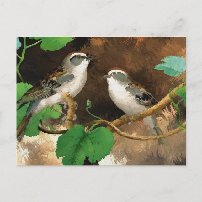 Sparrow Postkarte (Vorderseite)