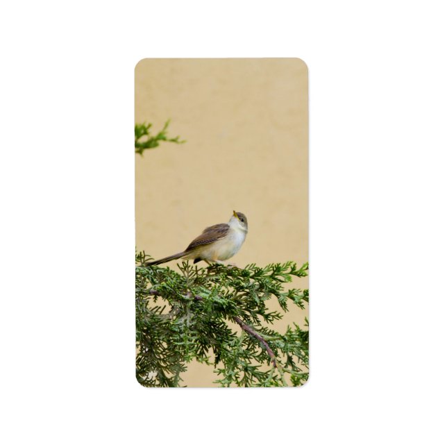 Sparrow-Postkarte Adressaufkleber (Vorne)
