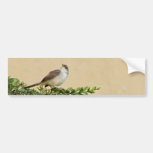 Sparrow-Postkarte Autoaufkleber