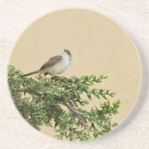 Sparrow-Postkarte Getränkeuntersetzer
