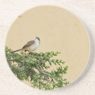 Sparrow Sandstein Untersetzer