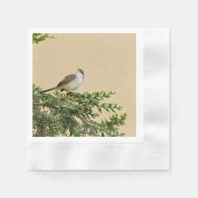 Sparrow Serviette (Vorderseite)