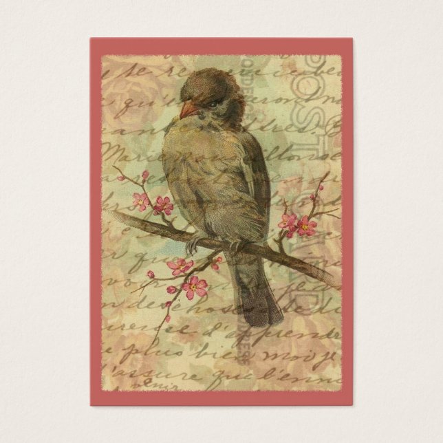 Sparrow Vintage (Devant)