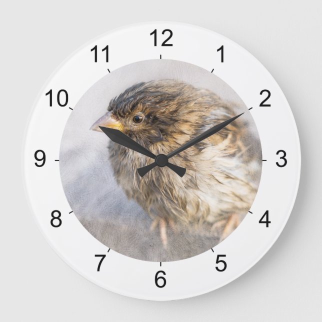Sparrow - Weather Forecast Epic Fail Große Wanduhr (Vorderseite)