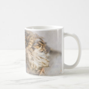 Sparrow - Wettervorhersage Epic Versag Kaffeetasse