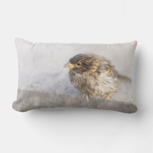 Sparrow - Wettervorhersage Epic Versag Lendenkissen