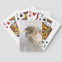 Sparrow - Wettervorhersage Epic Versag