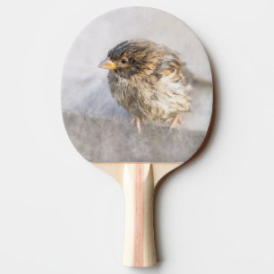 Sparrow - Wettervorhersage Epic Versag Tischtennis Schläger