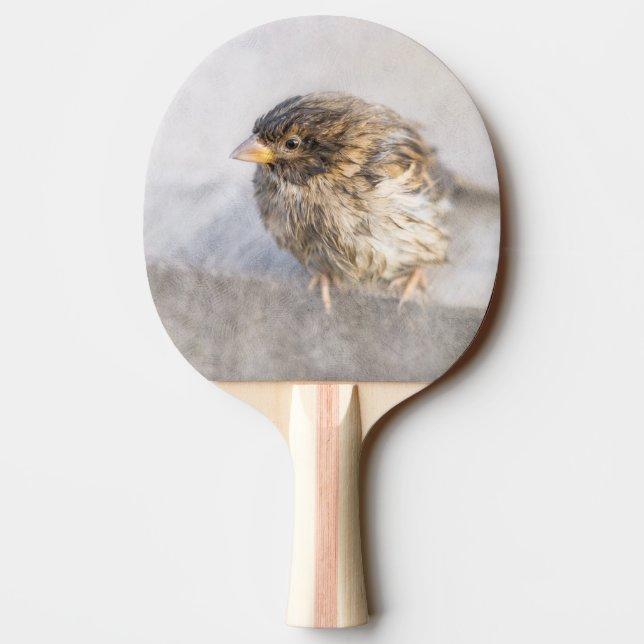 Sparrow - Wettervorhersage Epic Versag Tischtennis Schläger (Rückseite)