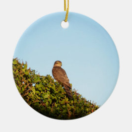 Sparrowhawk Keramik Ornament