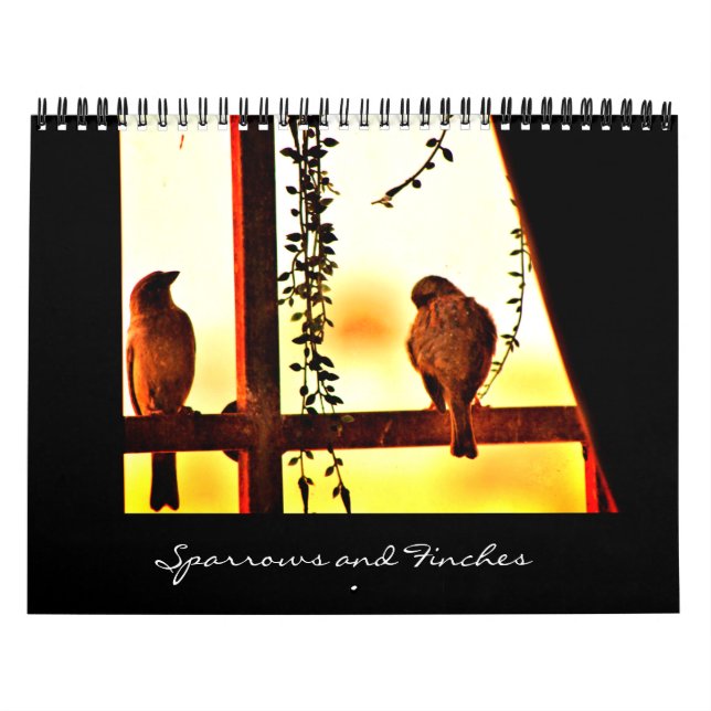 Sparrows und Finches Kalender (Titelbild)