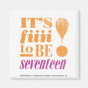 Spaß 2 B 17-Orange Magnet