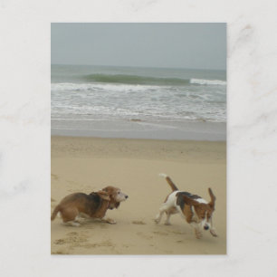 Spaß am Strand Postkarte