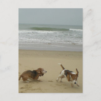 Spaß am Strand Postkarte