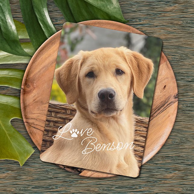 Spaß bei der Liebe meiner besten Freunde Karte (Von Creator hochgeladen)