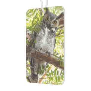 Spaß beim Anschauen Autolufterfrischer