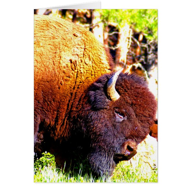 Spaß Card - Was sehen Sie sich an? (Vorne)