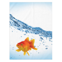 Spaß Einzigartiges Goldfish Fisch-Wasser
