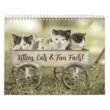 Spaß Fakten Katzenkalender