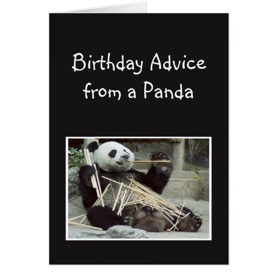 Spaß-Geburtstags-Rat vom Panda-Bärn-Tier-Spaß Karte