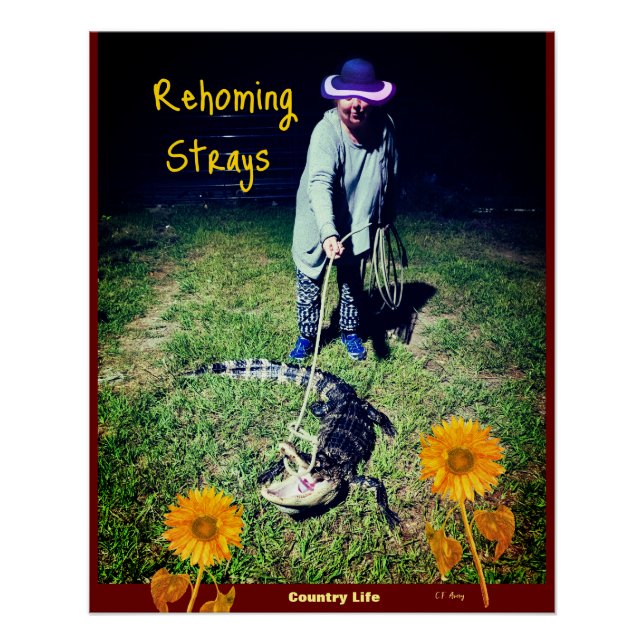 Spaß - Landleben — Rehabilitationsstraßen Poster (Vorderseite)