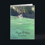 Spaß, Manatee, Vogel, Schmetterling, Grandson zum  Karte<br><div class="desc">Dies ist eine einzigartige Geburtstagskarte für einen Enkel,  der die Natur Lieben. Es hat Manatee,  Vogel- und Schmetterlingsbilder. Spaß,  bunte und fröhliche Geburtstagskarte für einen ganz besonderen Enkel.</div>