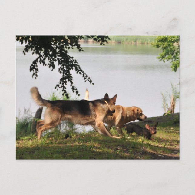 Spaß, Spaß, Spaß! Postkarte (Vorderseite)