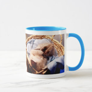 Spaß-Spaß-Tasse der Katze allergische Tasse