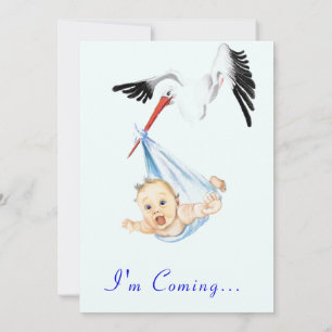 Spaß Stork und Babydusche Einladung mit QR-Code