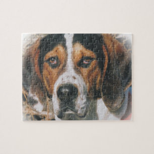Spaß Treeing Wanderercoonhound-Puzzlespiel