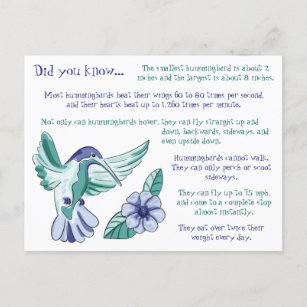 Spaß über Hummingvögel Postkarte