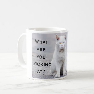 Spaß, was Sie Katzen-Kaffee-Tasse betrachtend sin Kaffeetasse
