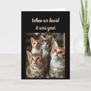 Spaß zum Geburtstag von allen uns Niedlichen Katze Karte