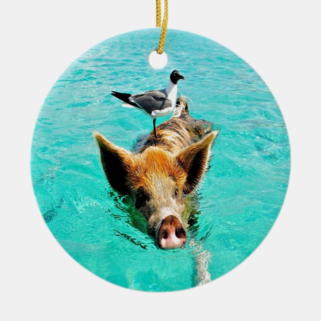 Spaß zusammen staniel Cayschwimmenschwein-Seemöwe Keramikornament (Vorne)