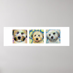 Spaßes mit drei niedliche Kunst des Wheaten Poster