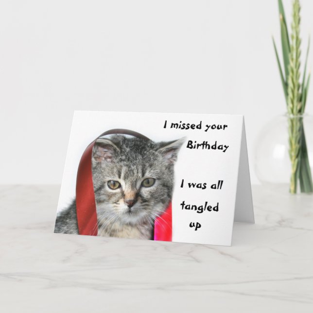 Spate Birthday Kitten Karte (Vorderseite)
