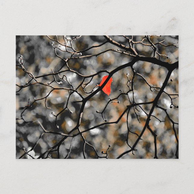 Später Herbst Postkarte (Vorderseite)