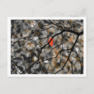 Später Herbst Postkarte