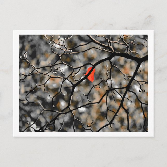 Später Herbst Postkarte (Vorderseite)