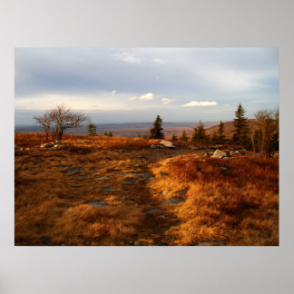 Später Nachmittag auf Sods Poster