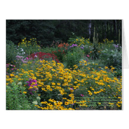 Später Sommer Tall Mullein Ridgeline