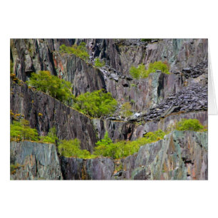 Spätklippe mit Bäumen