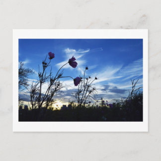 Spätsommerhimmel: Tokio Postkarte