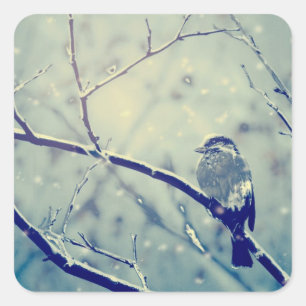 Spatz auf dem schneebedeckten Ast Quadratischer Aufkleber